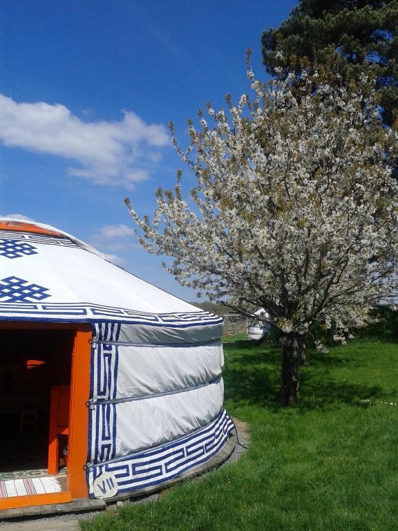 Yourte Nomade-Lodge Les Ecrennes Rum bild